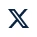 X Social Icon